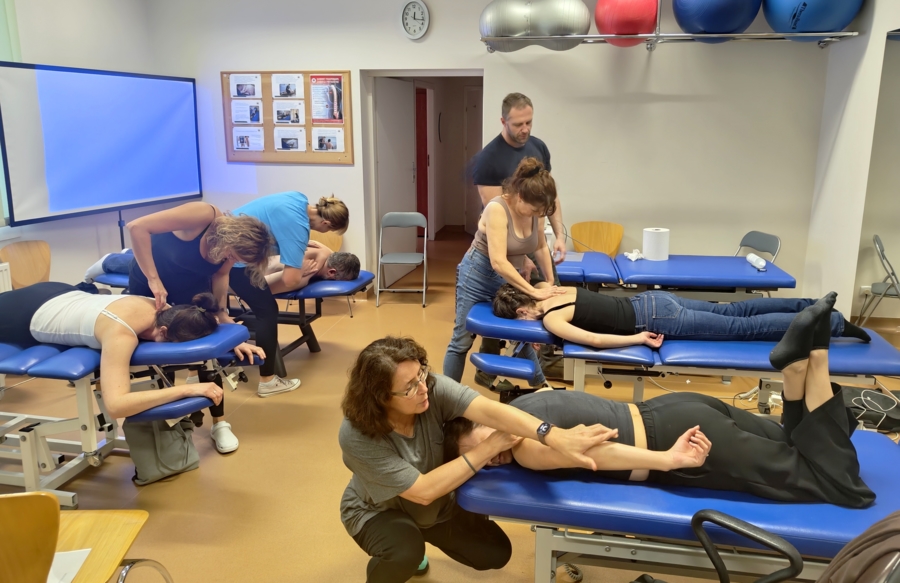 Szkolenie fizjoterapeutów MCM